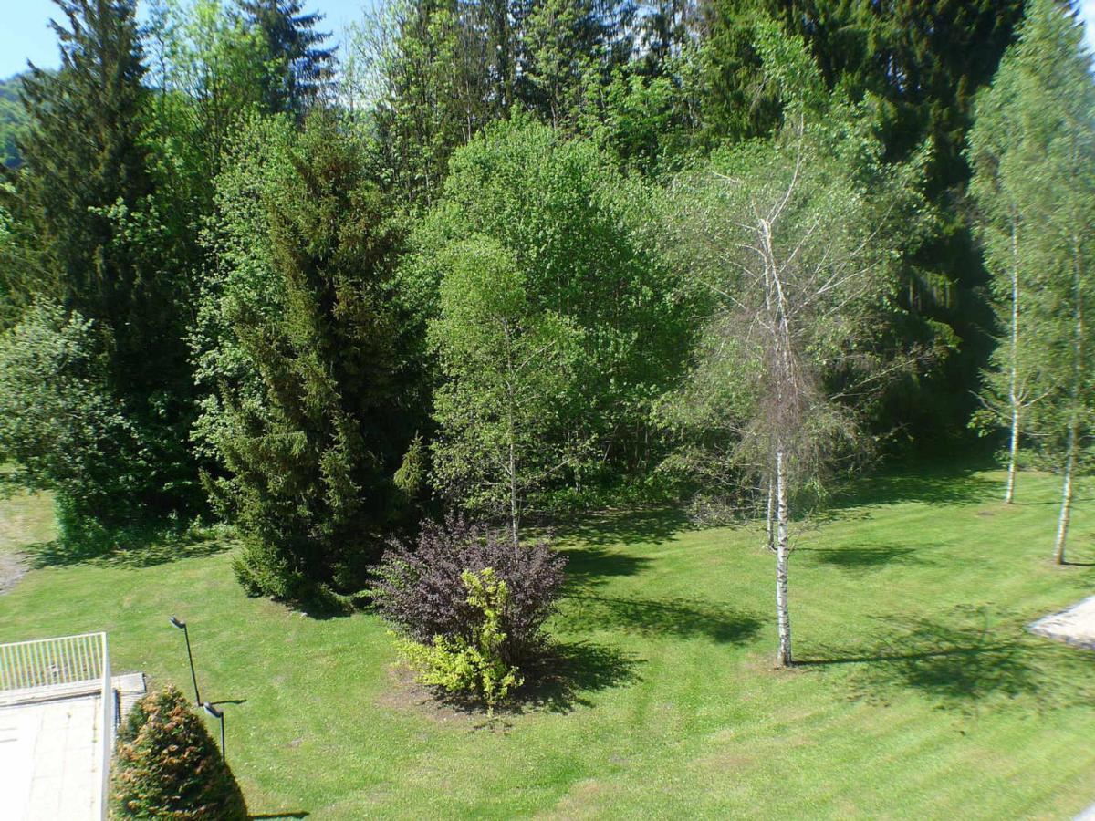 Studio Mansarde Avec Balcon, Piscine Et Parking Souterrain A Samoens - Fr-1-629-92 Екстер'єр фото