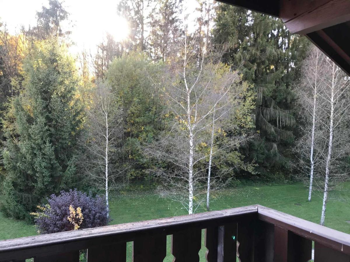 Studio Mansarde Avec Balcon, Piscine Et Parking Souterrain A Samoens - Fr-1-629-92 Екстер'єр фото